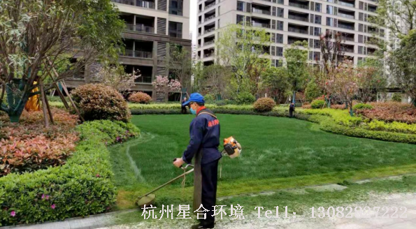 星合环境-草坪修剪及切边：对草坪过长的进行修剪，草坪和色块的边沟切边。