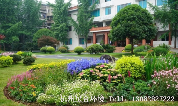 对于落叶植物，花境施工挖好后一定要修剪，并及时盖好土球，利于保水。