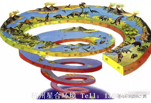 室内株摆
