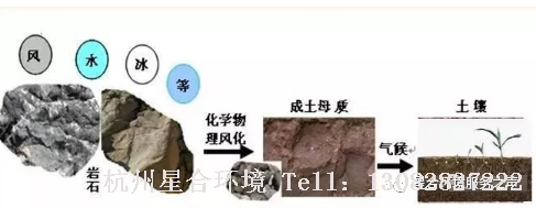 室内株摆