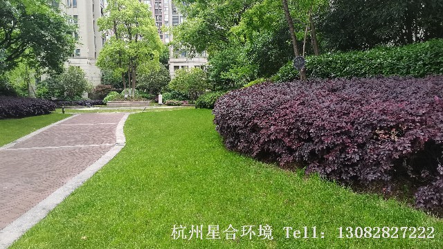 小区绿化养护