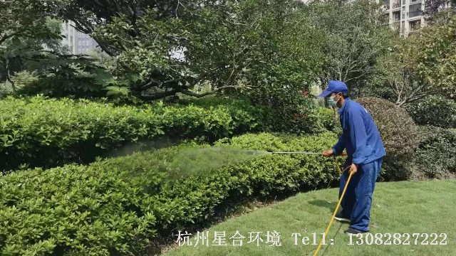 小区绿化养护中绿篱的养护技巧你知道的有哪些呢?