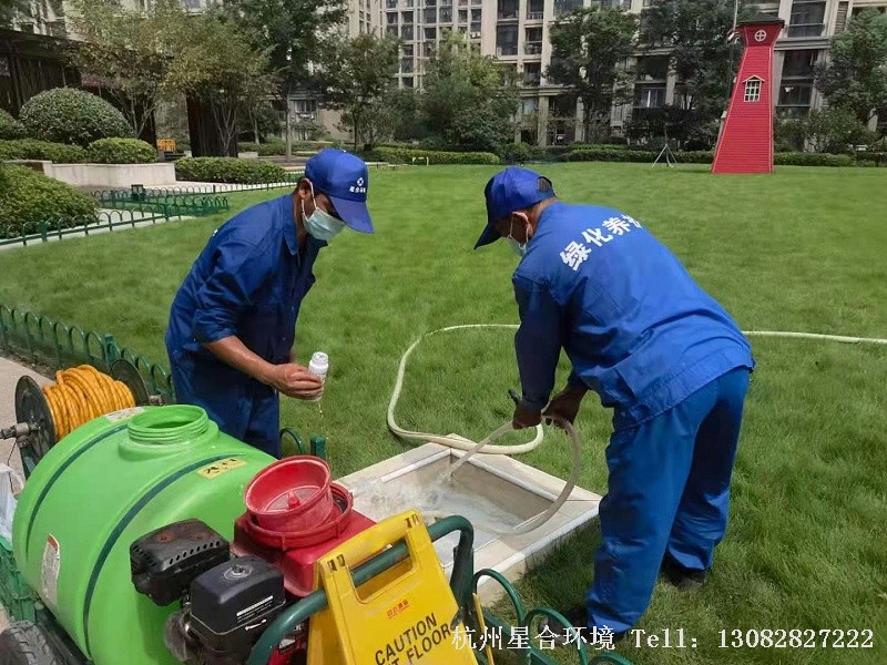 小区绿化养护中绿篱的养护技巧