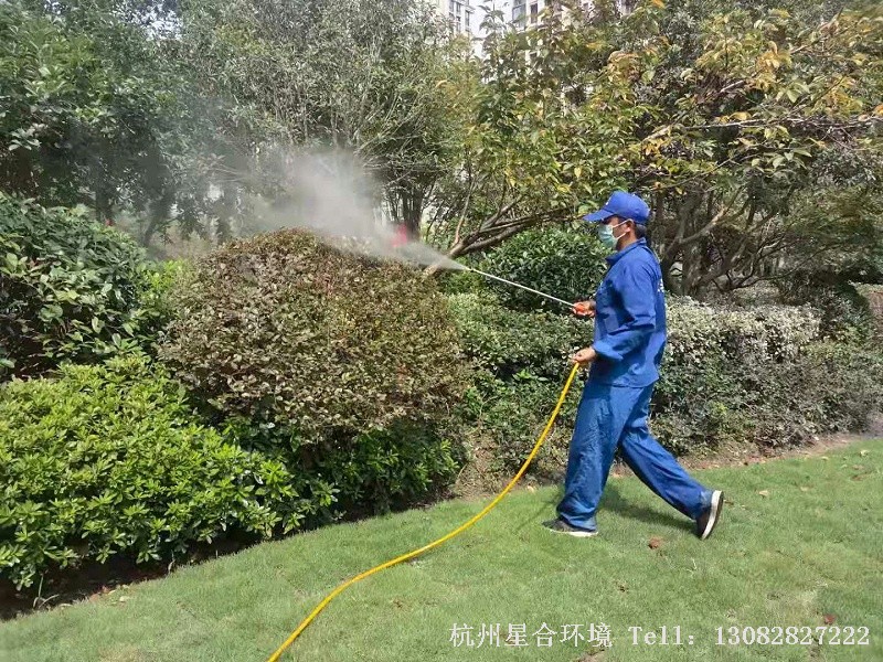 小区绿化养护中绿篱的养护技巧