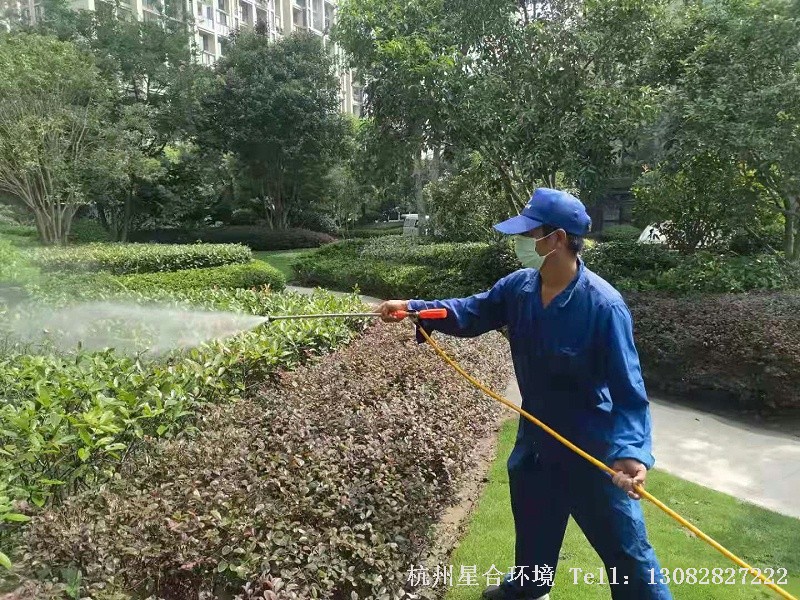 小区绿化养护中绿篱的养护技巧