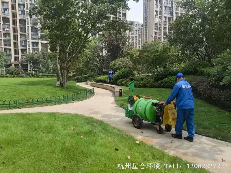 小区绿化养护中绿篱的养护技巧