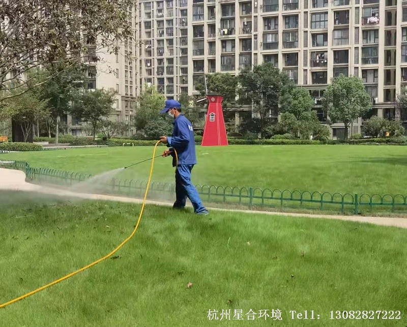 小区绿化养护中绿篱的养护技巧