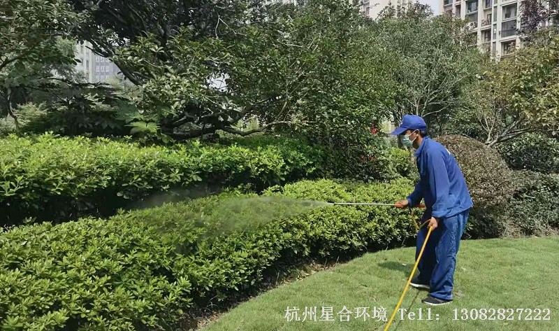 小区绿化养护中绿篱的养护技巧