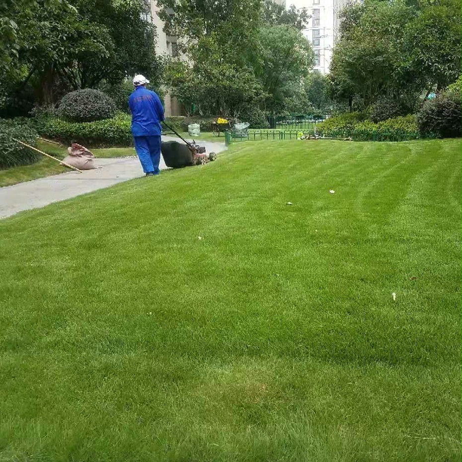 严格养护标准 严格养护标准