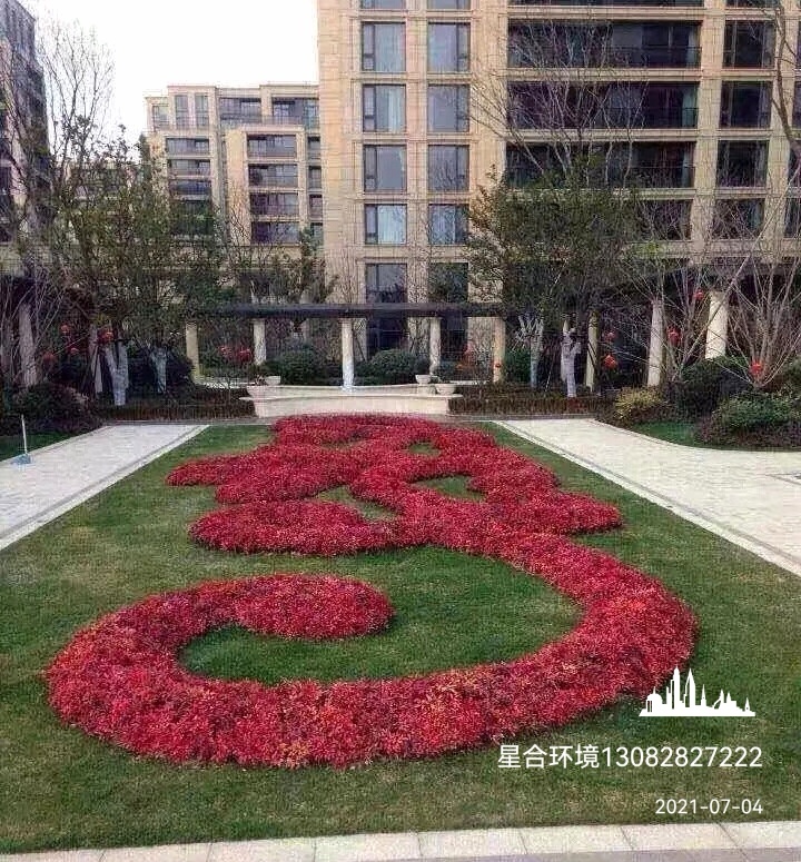 绿化工程