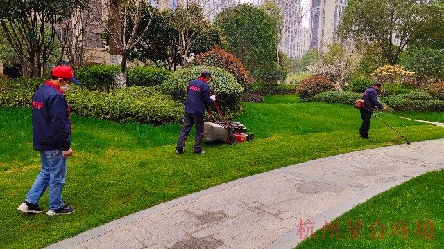 绿化养护-夏季草坪为何会大面积发黄枯萎