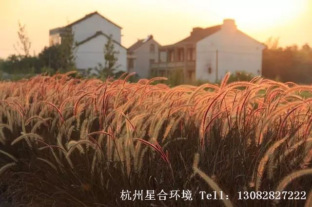 园林设计