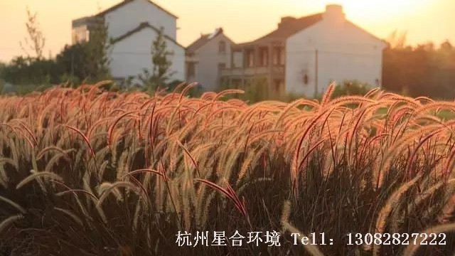 园林设计