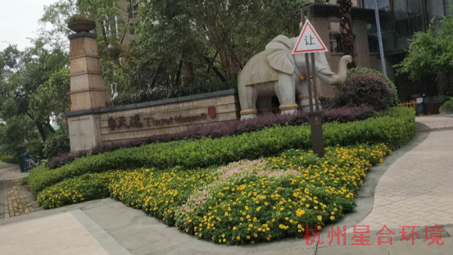 绿化工程草花如何布置才美观