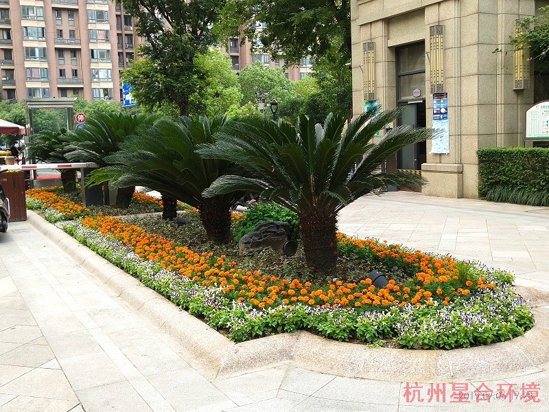 绿化工程