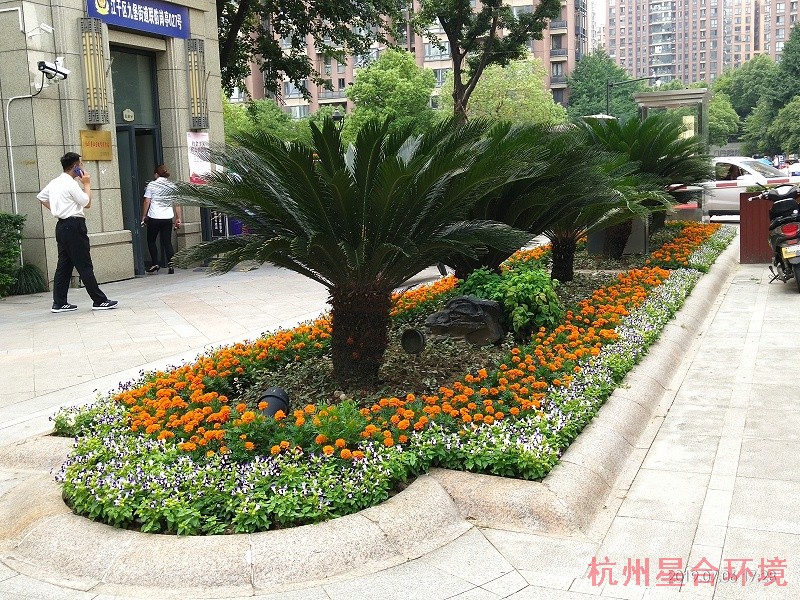 绿化工程