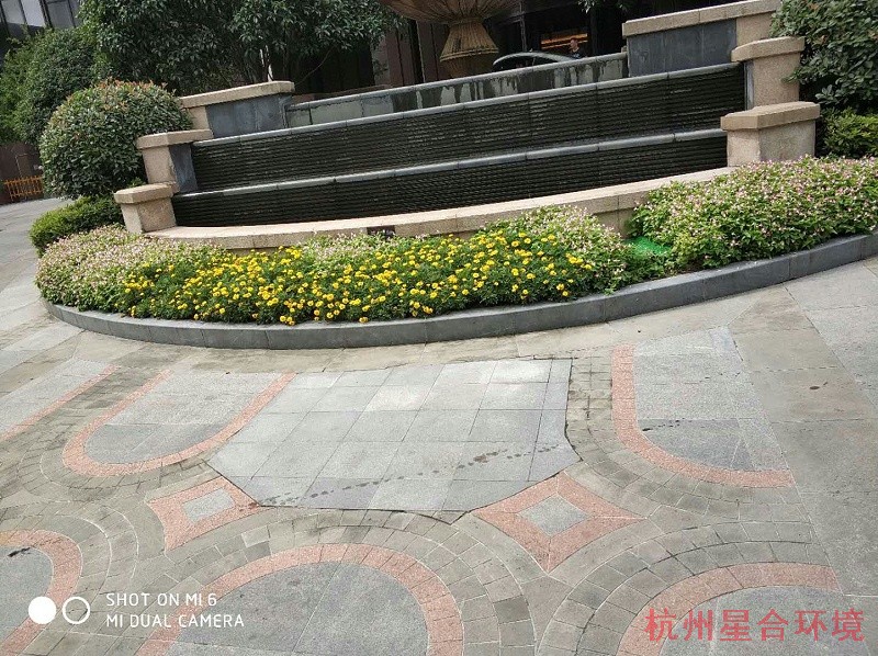 绿化工程