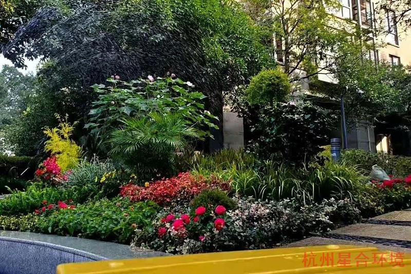 花境小品