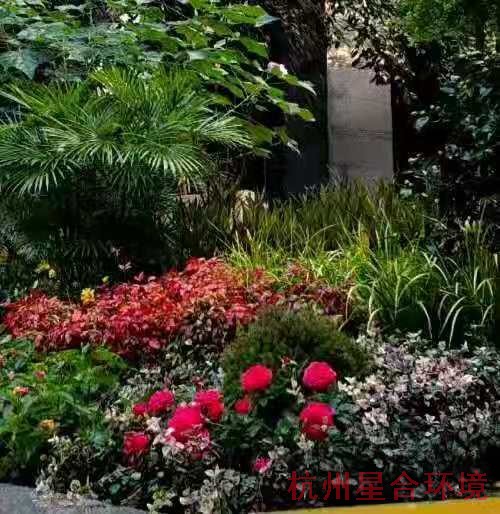 花境小品