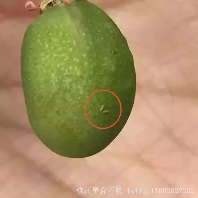 小区养护