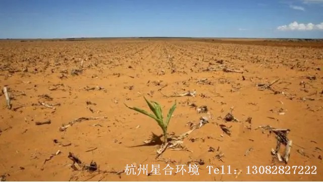 绿化养护