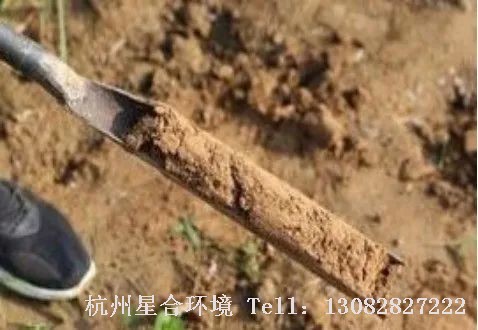 绿化养护水能保持植物体的固有状态