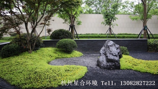 庭院养护
