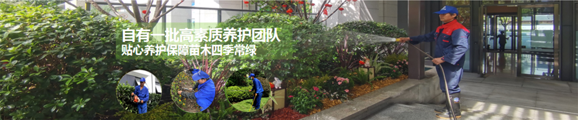 星合环境自有一批高素质养护团队