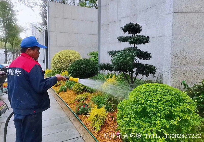 文澜府小区小品花境修复工程3