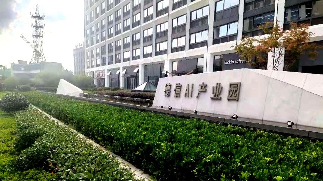 滨江区绿化养护-德信AI产业园绿化养护案例