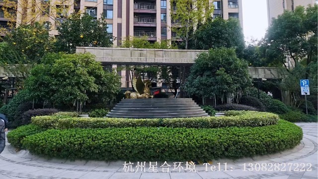 拱墅区绿化养护-金地繁华里小区绿化养护案例