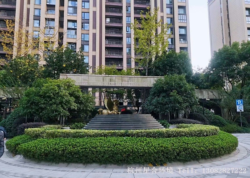 拱墅区绿化养护1