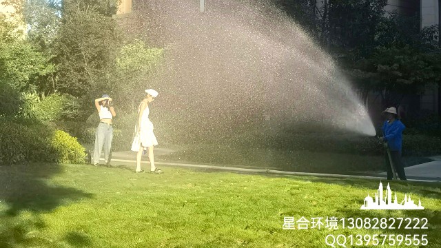 江干区绿化养护-阳光城翡丽湾小区绿化养护案例