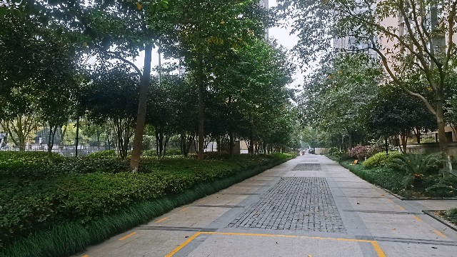 余杭区绿化养护-金地风雅乐府小区绿化养护案例