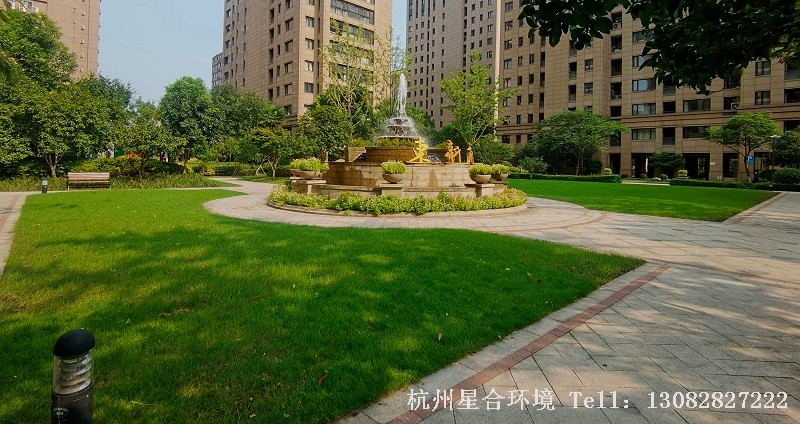 下城区绿化养护2