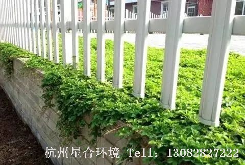 园林设计