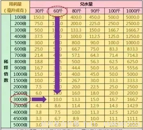 绿化养护