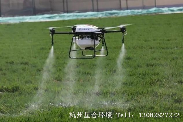 绿化养护