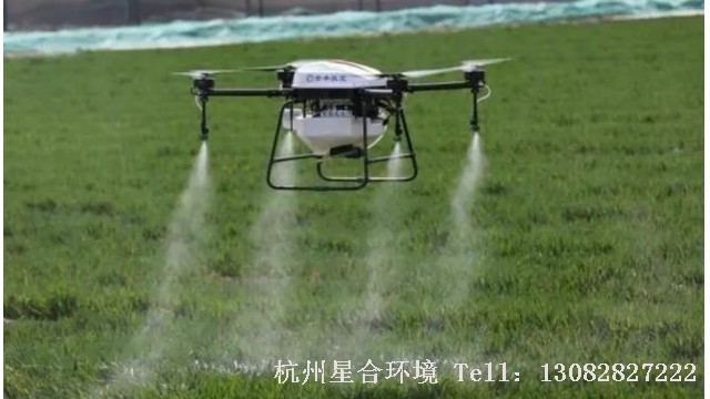 绿化养护