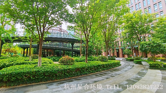 小区绿化养护