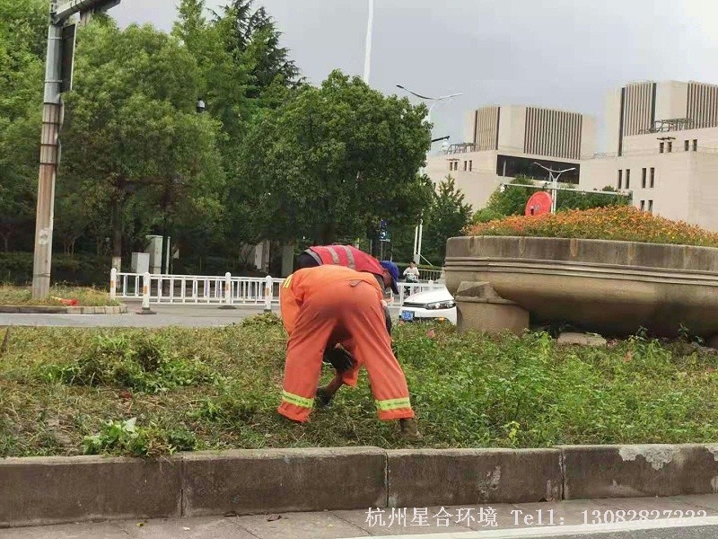 市政绿化养护