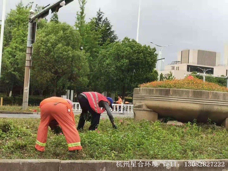 市政绿化养护