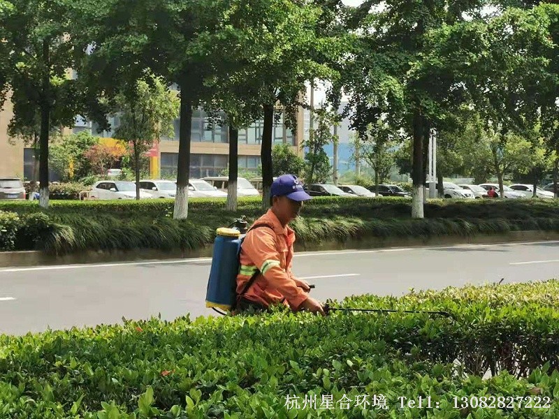 市政绿化养护