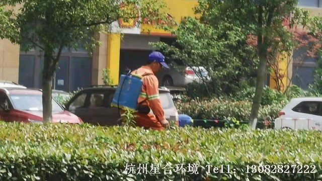市政绿化养护-夏天马路绿化如何养护
