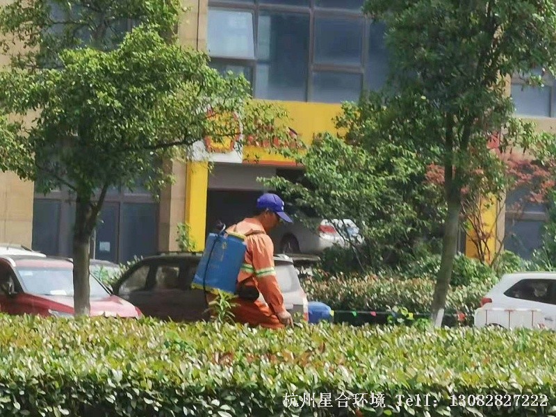 市政绿化养护