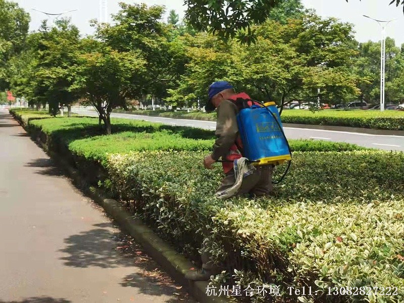 市政绿化养护