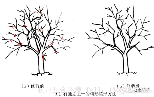 园林设计