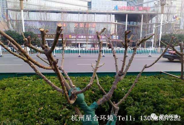 园林设计