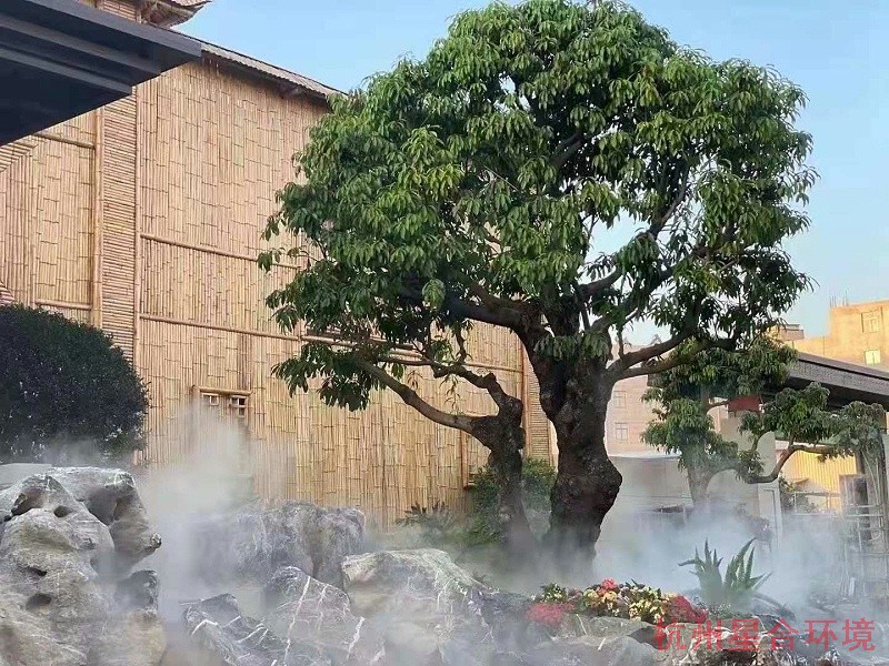 庭院景观