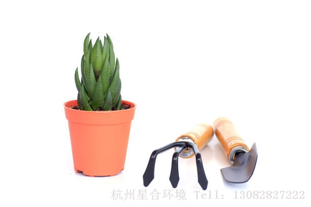 绿化养护塑料花盆